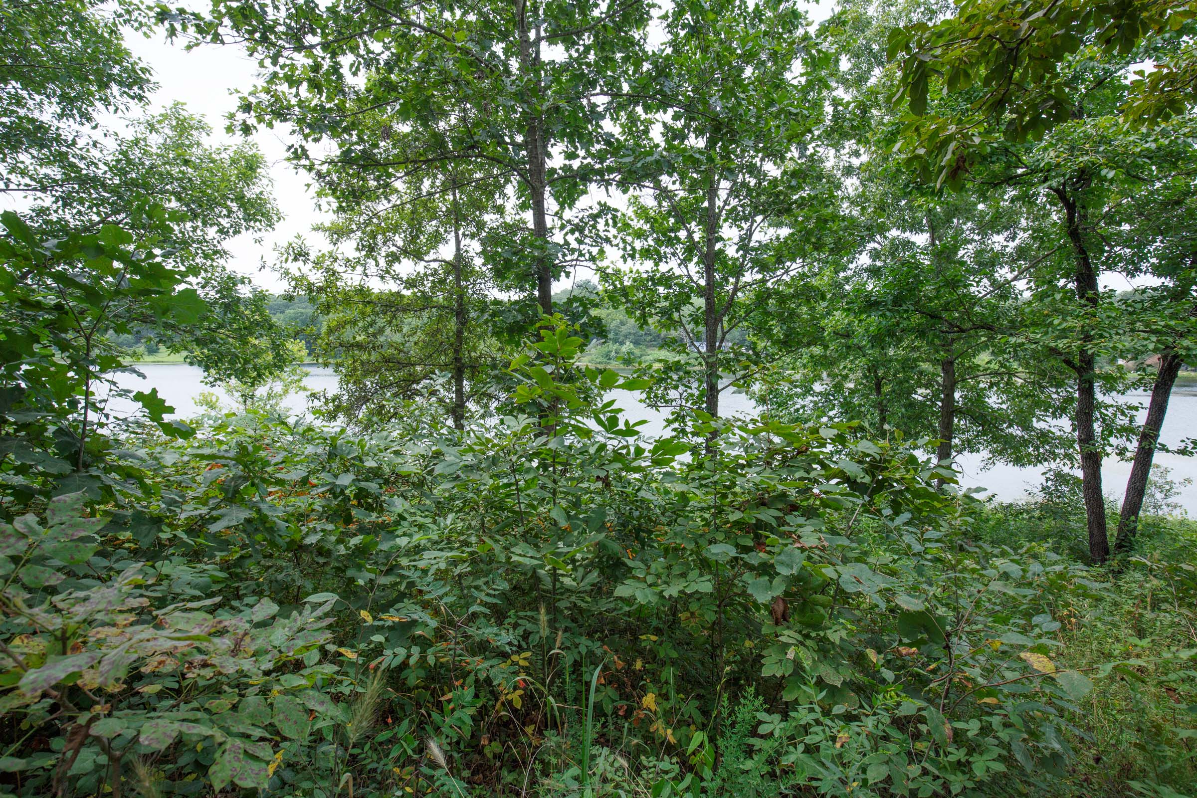 Tract 14 at Springlake in Miller County, Missouri