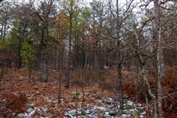 property photo for Stone Bridge Phase IV Tract 272, 11.85 acres for sale in LatimerHaskell County, Oklahoma