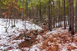 property photo for Stone Bridge Phase IV Tract 272, 11.85 acres for sale in LatimerHaskell County, Oklahoma