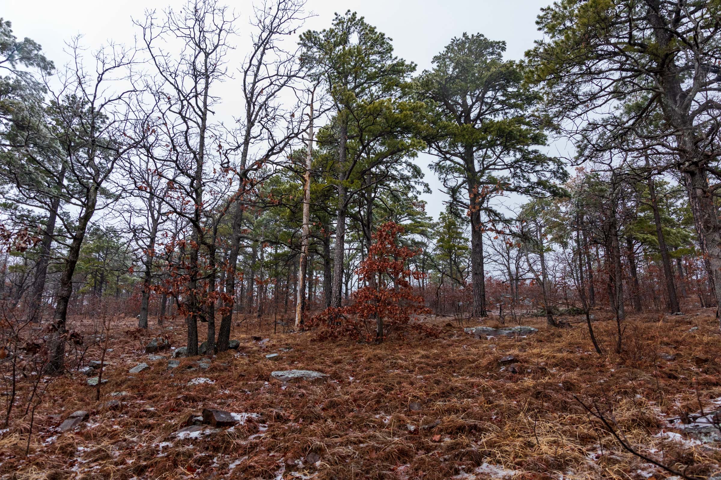 Tract 312 at Stone Bridge Phase IV in LatimerHaskell County, Oklahoma