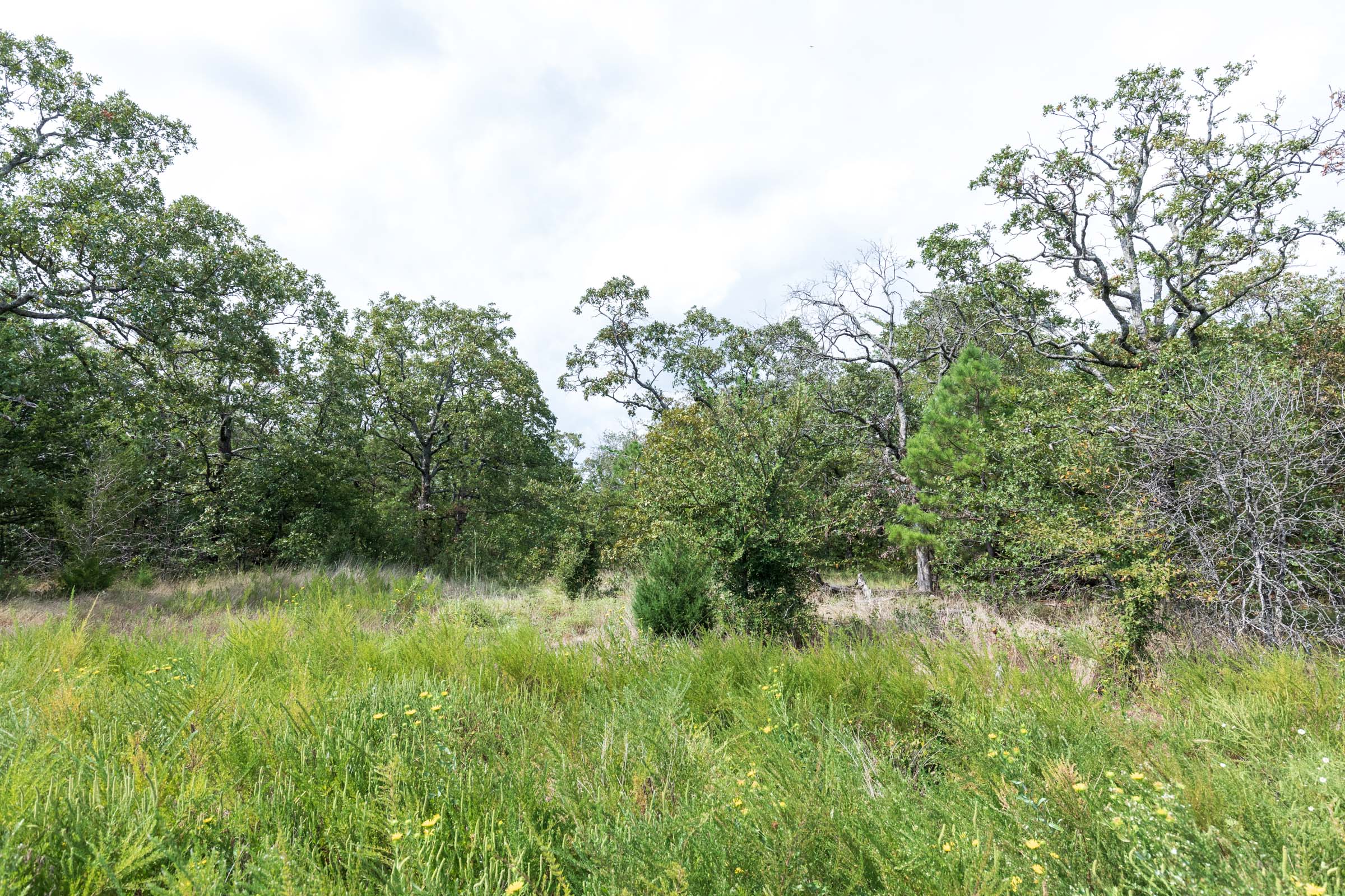 Tract 338 at Stone Bridge Phase V in LatimerHaskell County, Oklahoma
