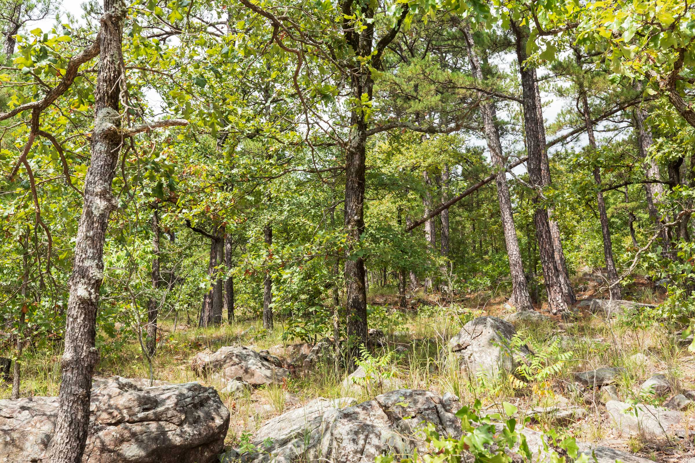 Tract 346 at Stone Bridge Phase V in LatimerHaskell County, Oklahoma