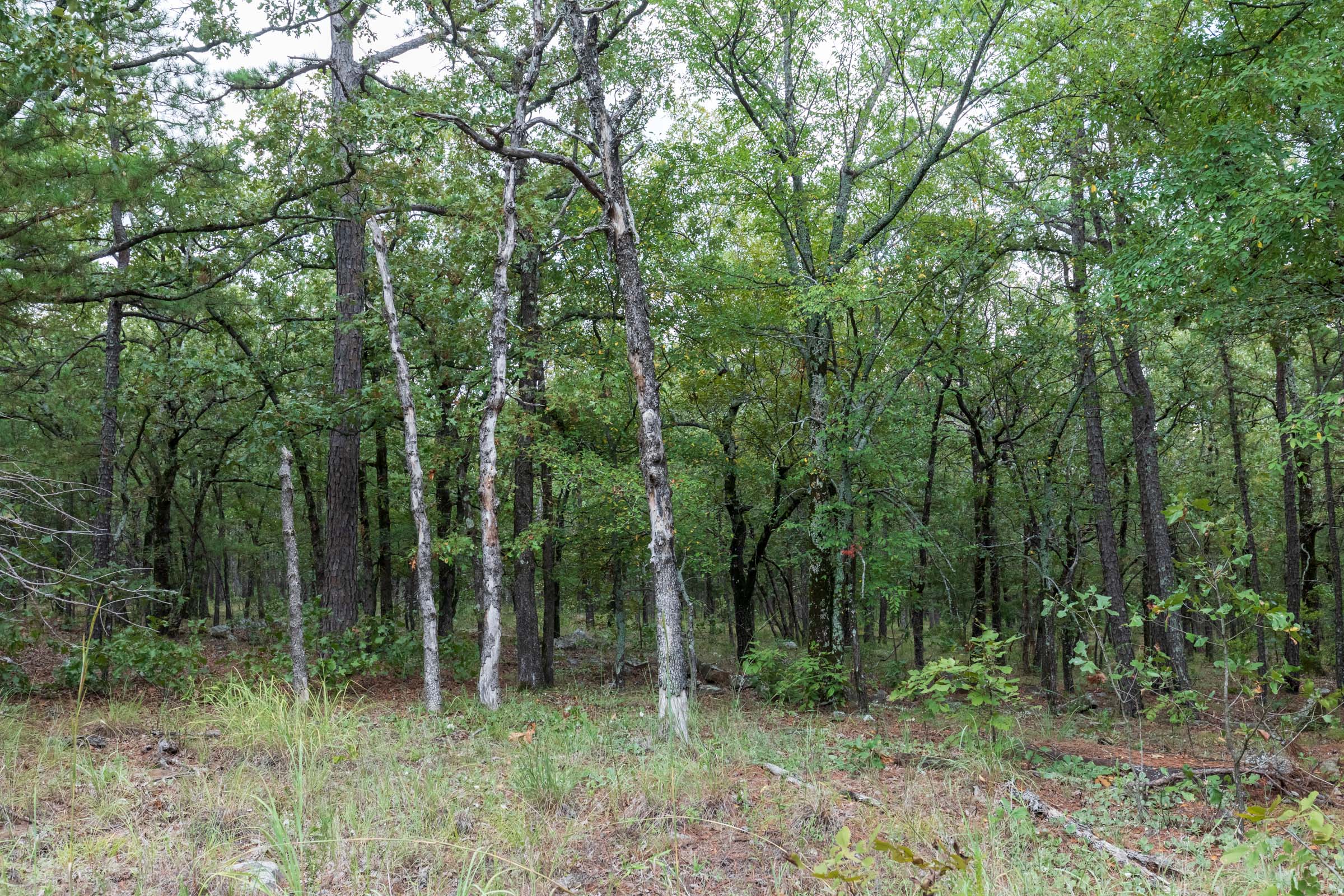 Tract 355 at Stone Bridge Phase V in LatimerHaskell County, Oklahoma