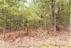 property photo for Stone Bridge Phase V Tract 360, 11 acres for sale in LatimerHaskell County, Oklahoma