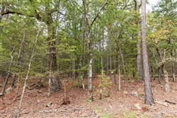 property photo for Stone Bridge Phase V Tract 360, 11 acres for sale in LatimerHaskell County, Oklahoma