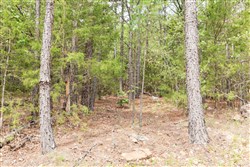 property photo for Stone Bridge Phase V Tract 360, 11 acres for sale in LatimerHaskell County, Oklahoma
