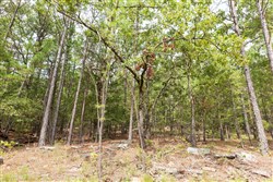 property photo for Stone Bridge Phase V Tract 360, 11 acres for sale in LatimerHaskell County, Oklahoma