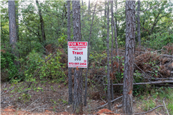 property photo for Stone Bridge Phase V Tract 360, 11 acres for sale in LatimerHaskell County, Oklahoma