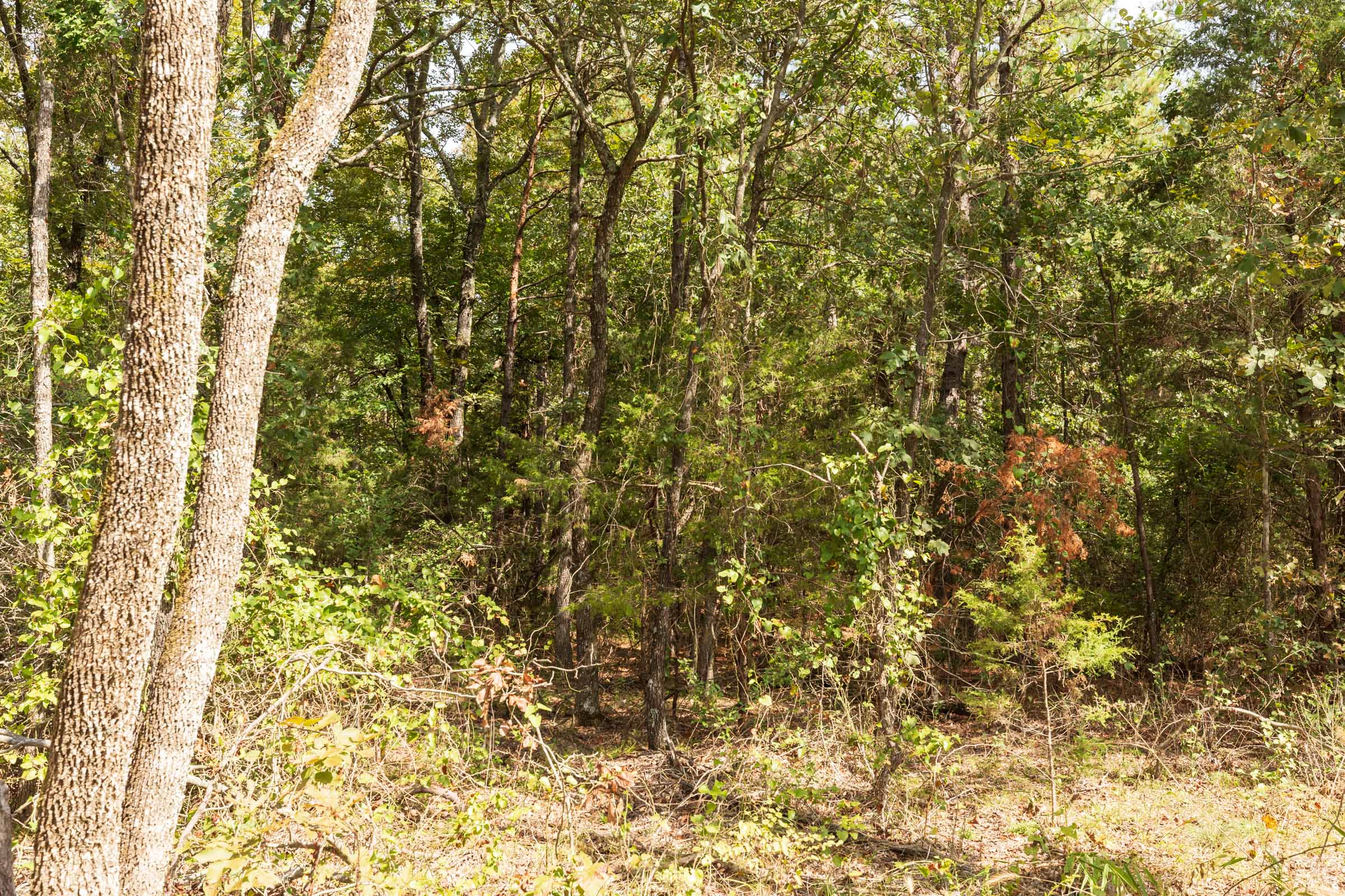 Tract 364 at Stone Bridge Phase V in LatimerHaskell County, Oklahoma