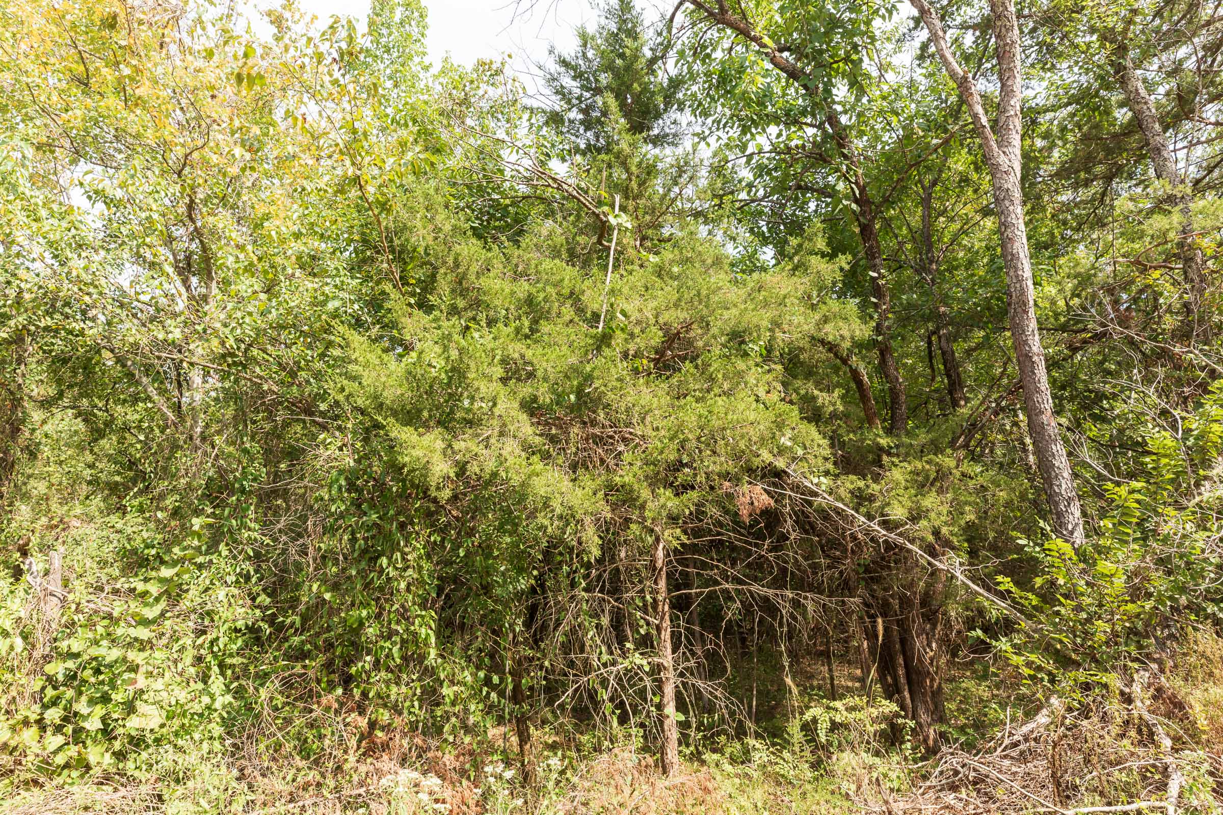 Tract 365 at Stone Bridge Phase V in LatimerHaskell County, Oklahoma