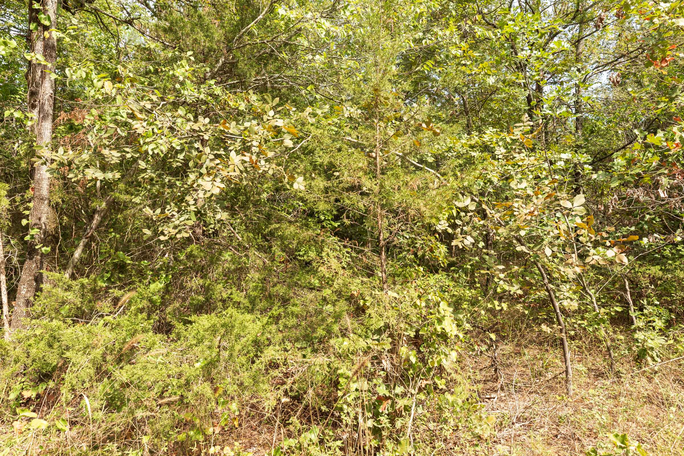 Tract 366 at Stone Bridge Phase V in LatimerHaskell County, Oklahoma