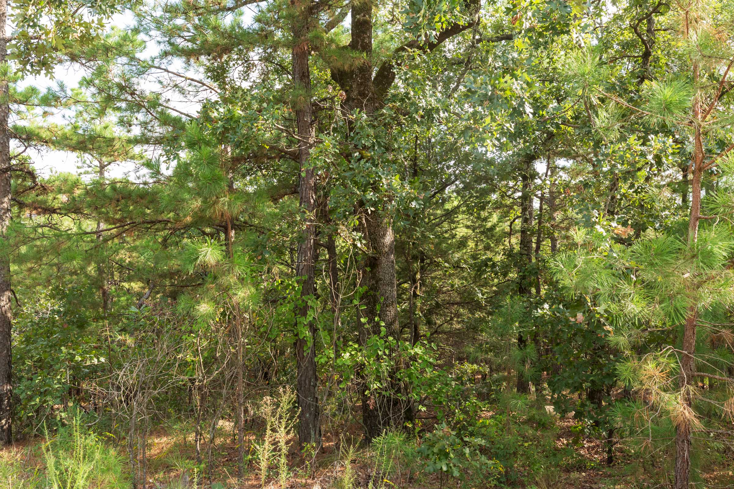Tract 370 at Stone Bridge Phase V in LatimerHaskell County, Oklahoma