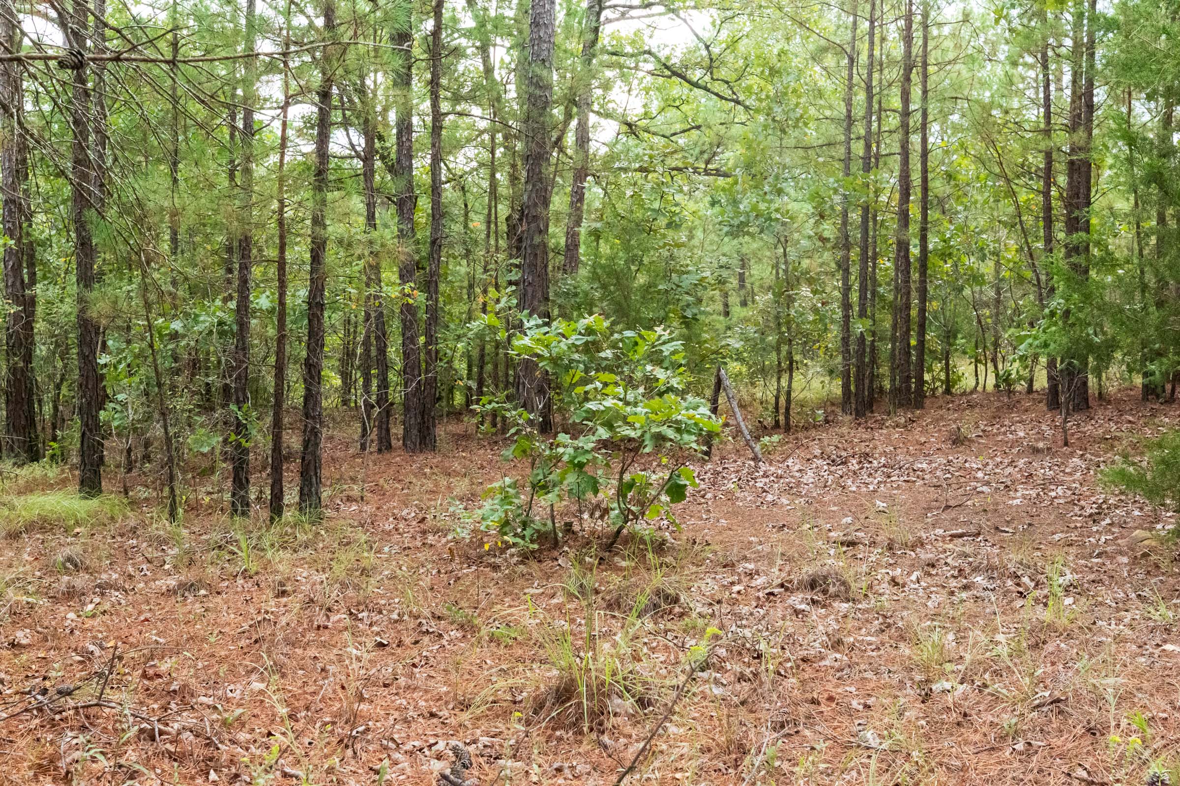 Tract 395 at Stone Bridge Phase V in LatimerHaskell County, Oklahoma