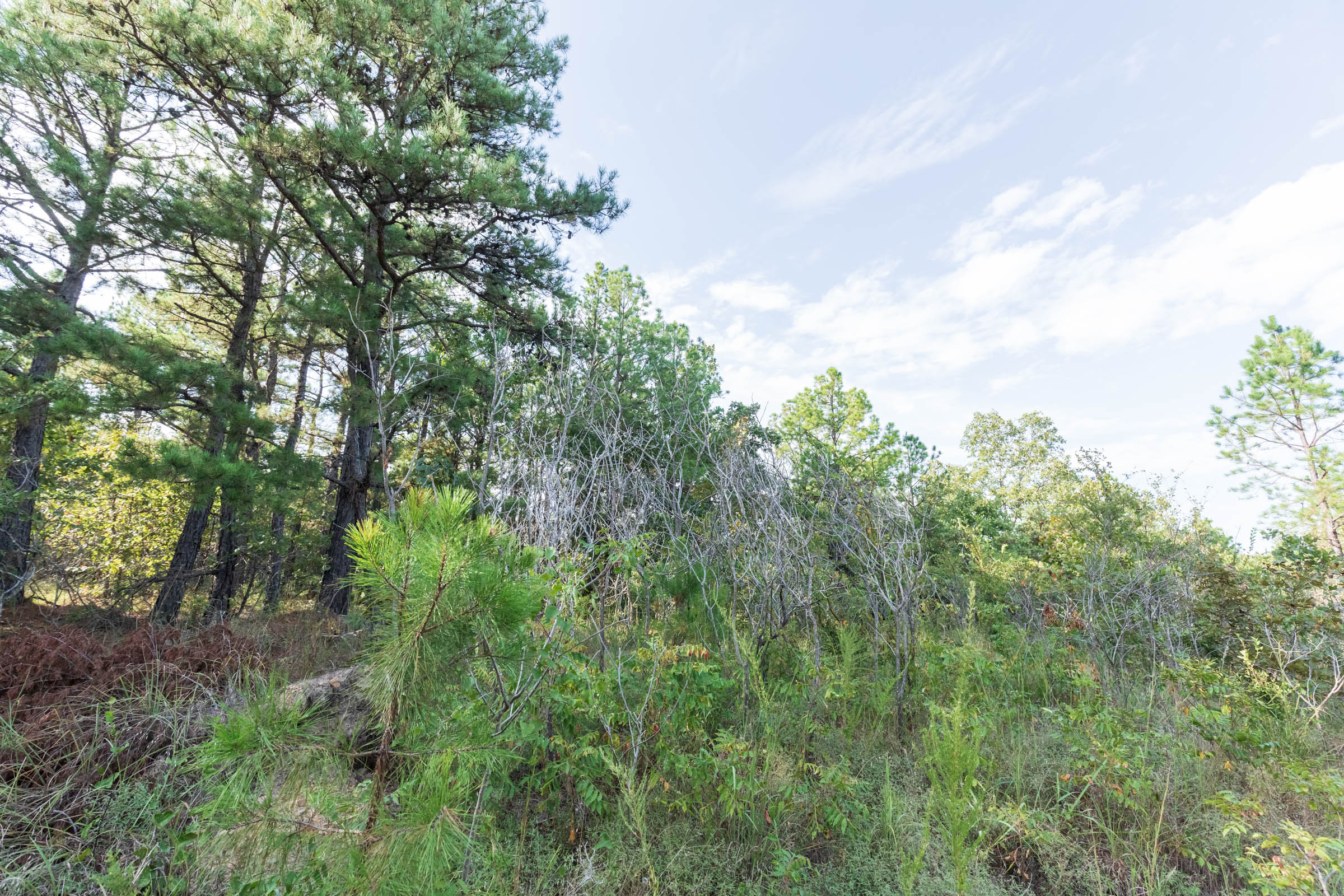 Tract 397 at Stone Bridge Phase V in LatimerHaskell County, Oklahoma