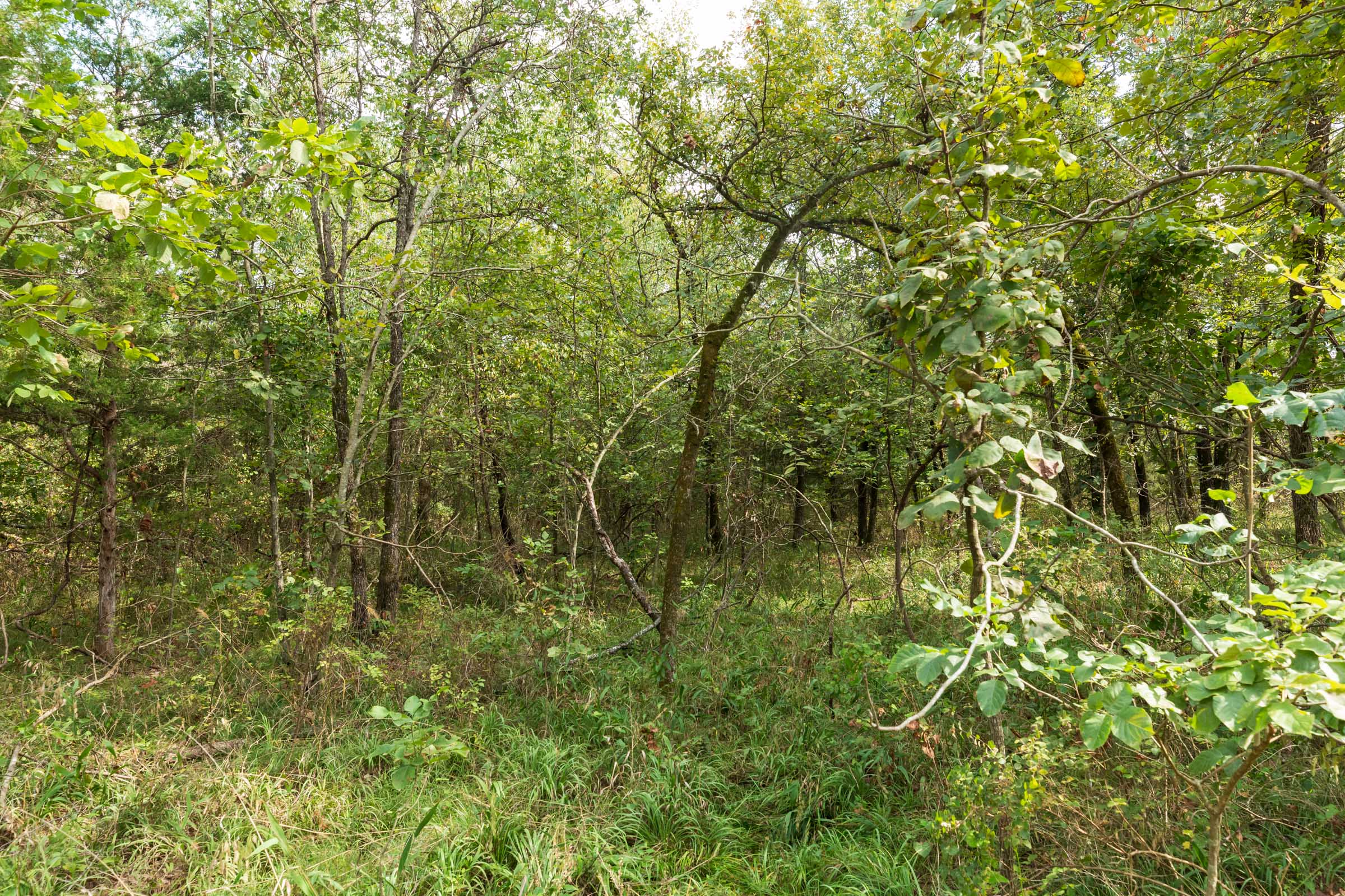 Tract 408 at Stone Bridge Phase V in LatimerHaskell County, Oklahoma