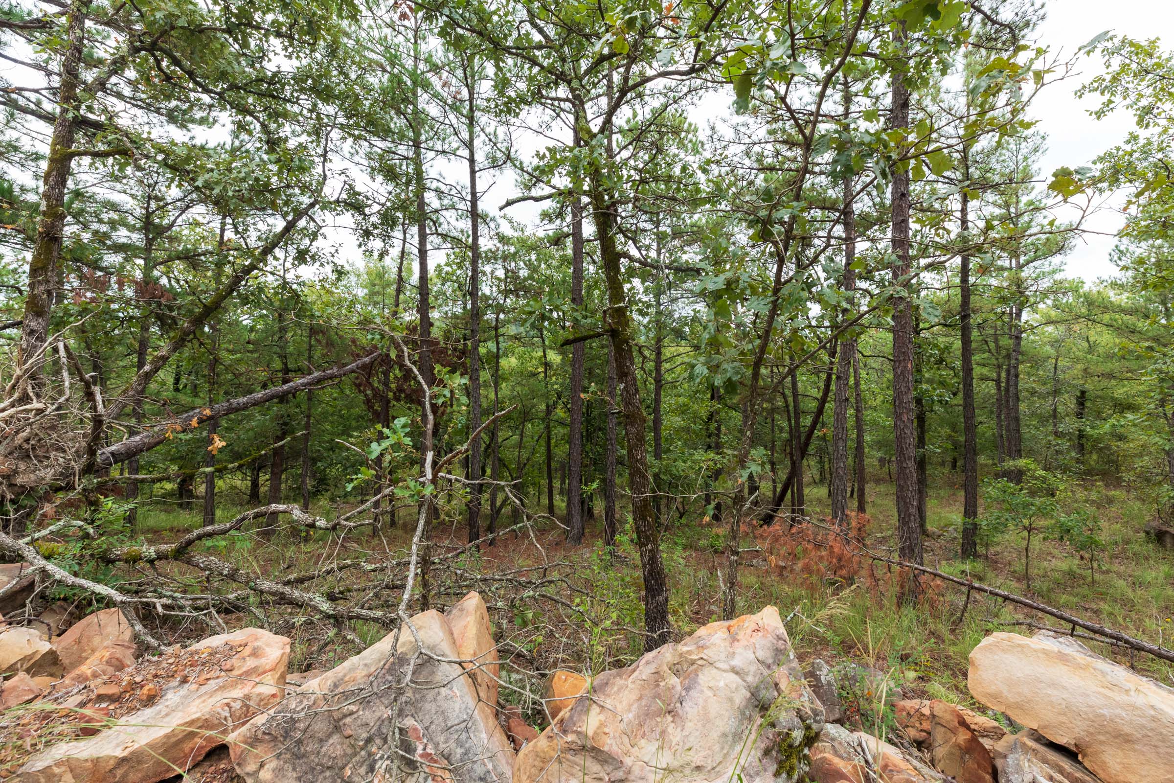 Tract 422 at Stone Bridge Phase V in LatimerHaskell County, Oklahoma