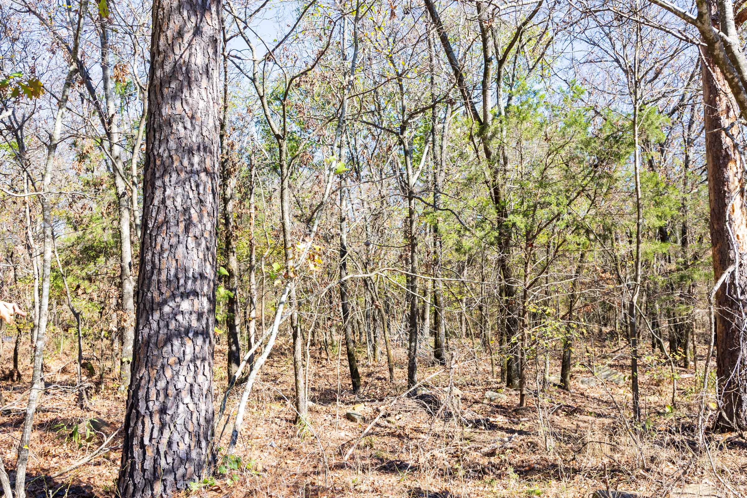 Tract 11 at Stone Bridge Reserve in LatimerHaskell County, Oklahoma