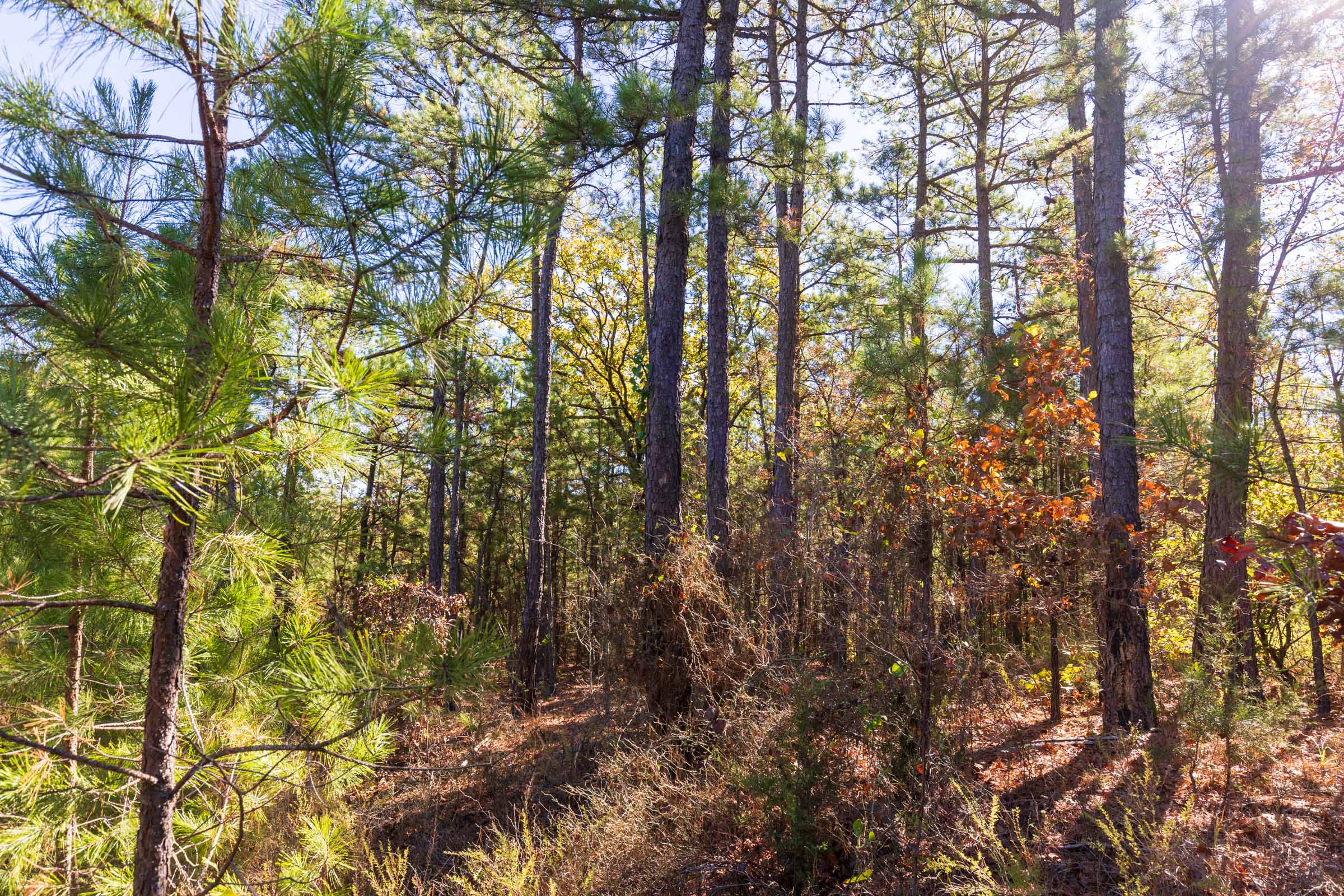 Tract 23 at Stone Bridge Reserve in LatimerHaskell County, Oklahoma
