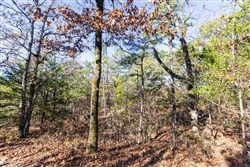 property photo for Stone Bridge Reserve Tract 27, 6.24 acres for sale in LatimerHaskell County, Oklahoma