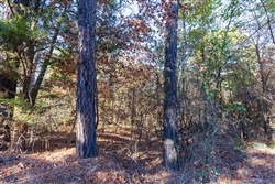 property photo for Stone Bridge Reserve Tract 27, 6.24 acres for sale in LatimerHaskell County, Oklahoma