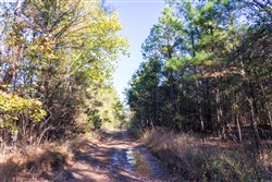 property photo for Stone Bridge Reserve Tract 27, 6.24 acres for sale in LatimerHaskell County, Oklahoma