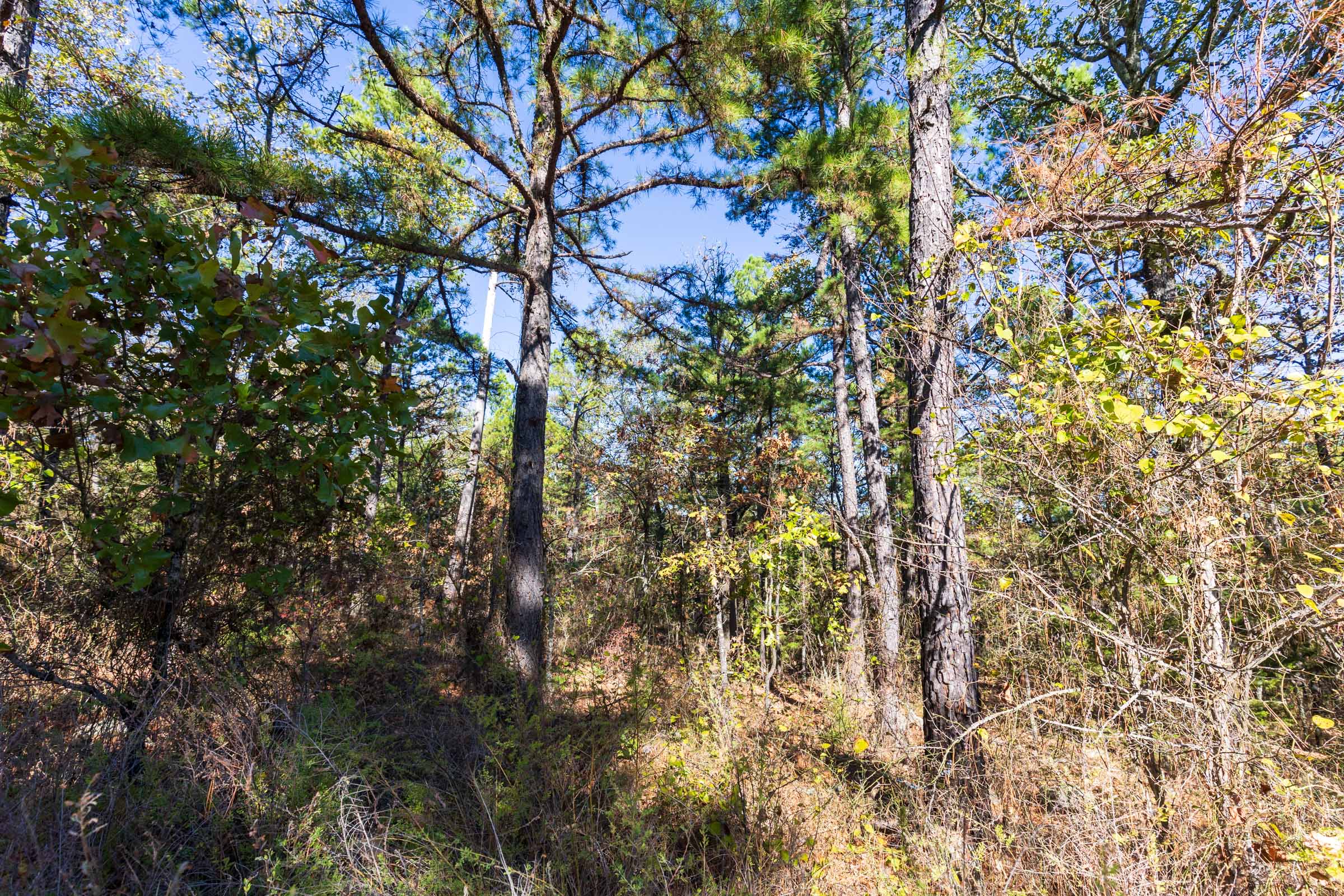 Tract 28 at Stone Bridge Reserve in LatimerHaskell County, Oklahoma