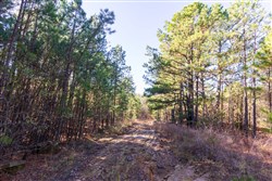 property photo for Stone Bridge Reserve Tract 6, 8.7 acres for sale in LatimerHaskell County, Oklahoma
