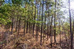 property photo for Stone Bridge Reserve Tract 6, 8.7 acres for sale in LatimerHaskell County, Oklahoma