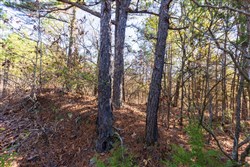property photo for Stone Bridge Reserve Tract 6, 8.7 acres for sale in LatimerHaskell County, Oklahoma