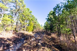 property photo for Stone Bridge Reserve Tract 6, 8.7 acres for sale in LatimerHaskell County, Oklahoma