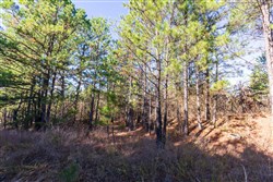 property photo for Stone Bridge Reserve Tract 6, 8.7 acres for sale in LatimerHaskell County, Oklahoma