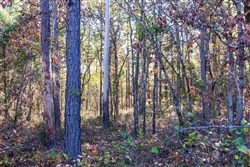 property photo for Stone Bridge Reserve Tract 9, 6.5 acres for sale in LatimerHaskell County, Oklahoma