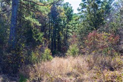 property photo for Stone Bridge Reserve Tract 9, 6.5 acres for sale in LatimerHaskell County, Oklahoma