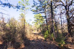 property photo for Stone Bridge Reserve Tract 9, 6.5 acres for sale in LatimerHaskell County, Oklahoma
