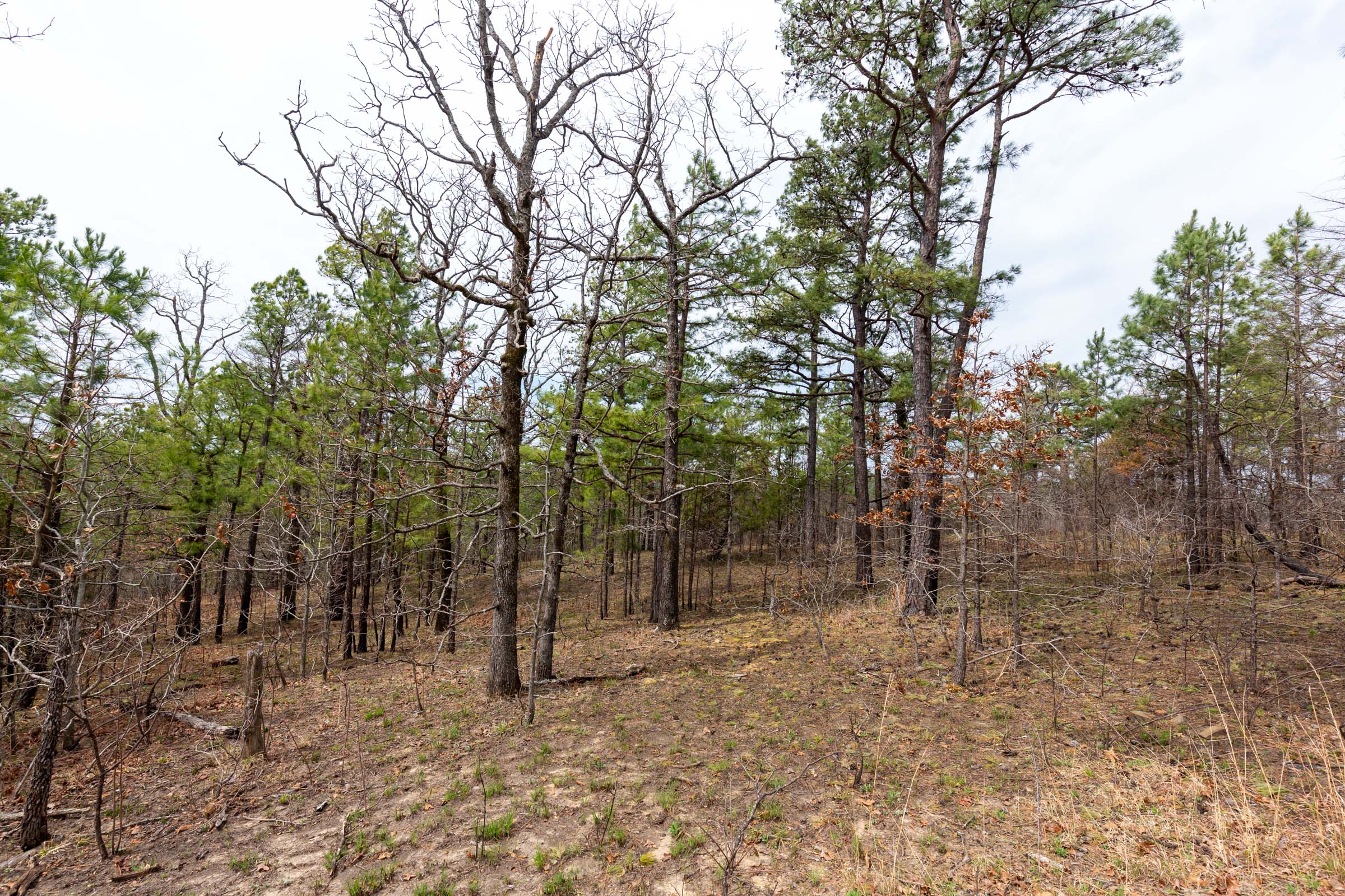 Tract 143 at Stone Bridge Phase III in LatimerHaskell County, Oklahoma