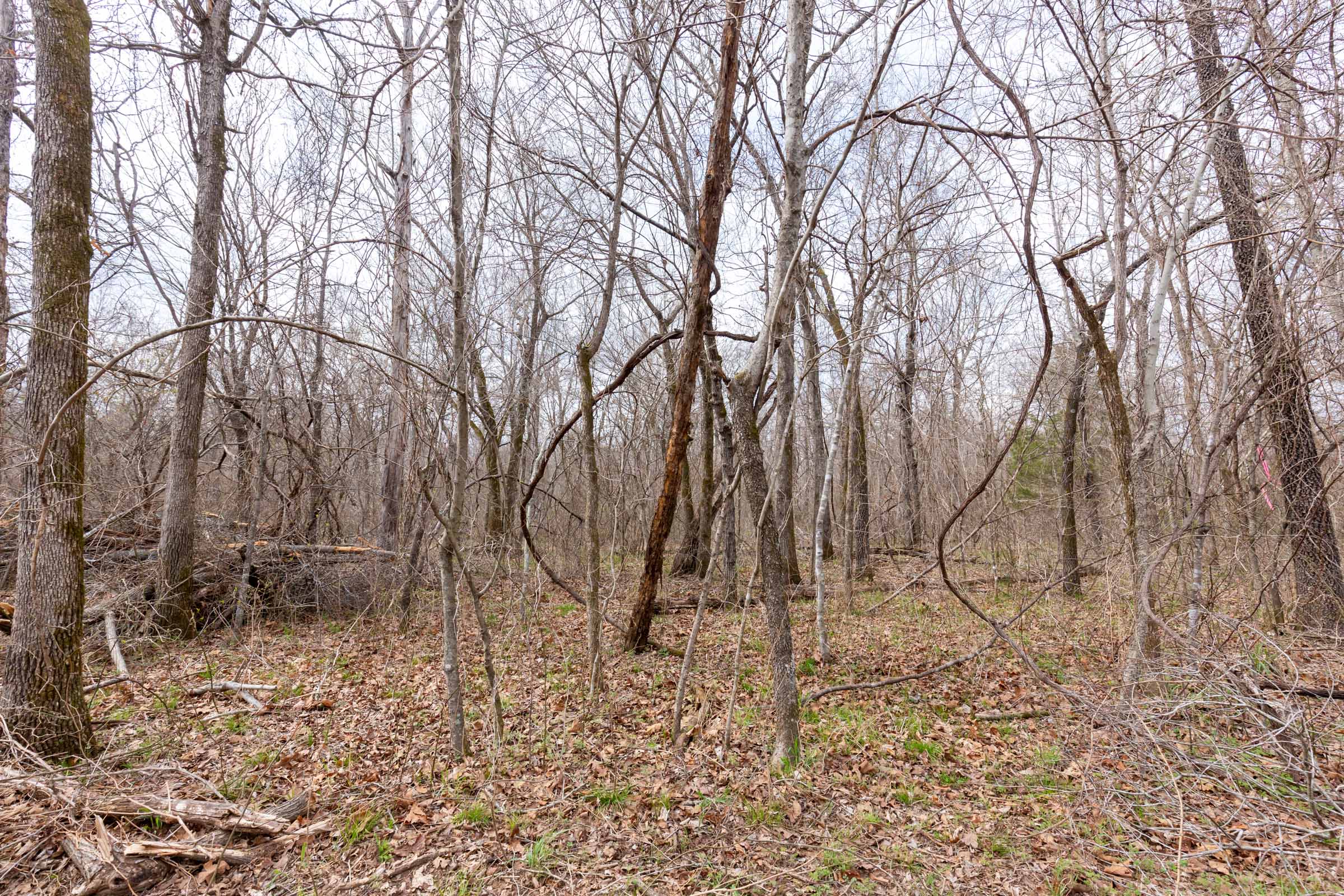 Tract 155 at Stone Bridge Phase III in LatimerHaskell County, Oklahoma