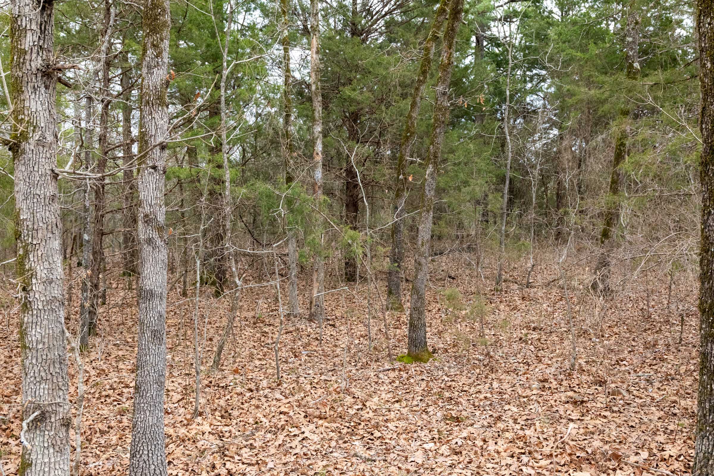 Tract 170 at Stone Bridge Phase III in LatimerHaskell County, Oklahoma