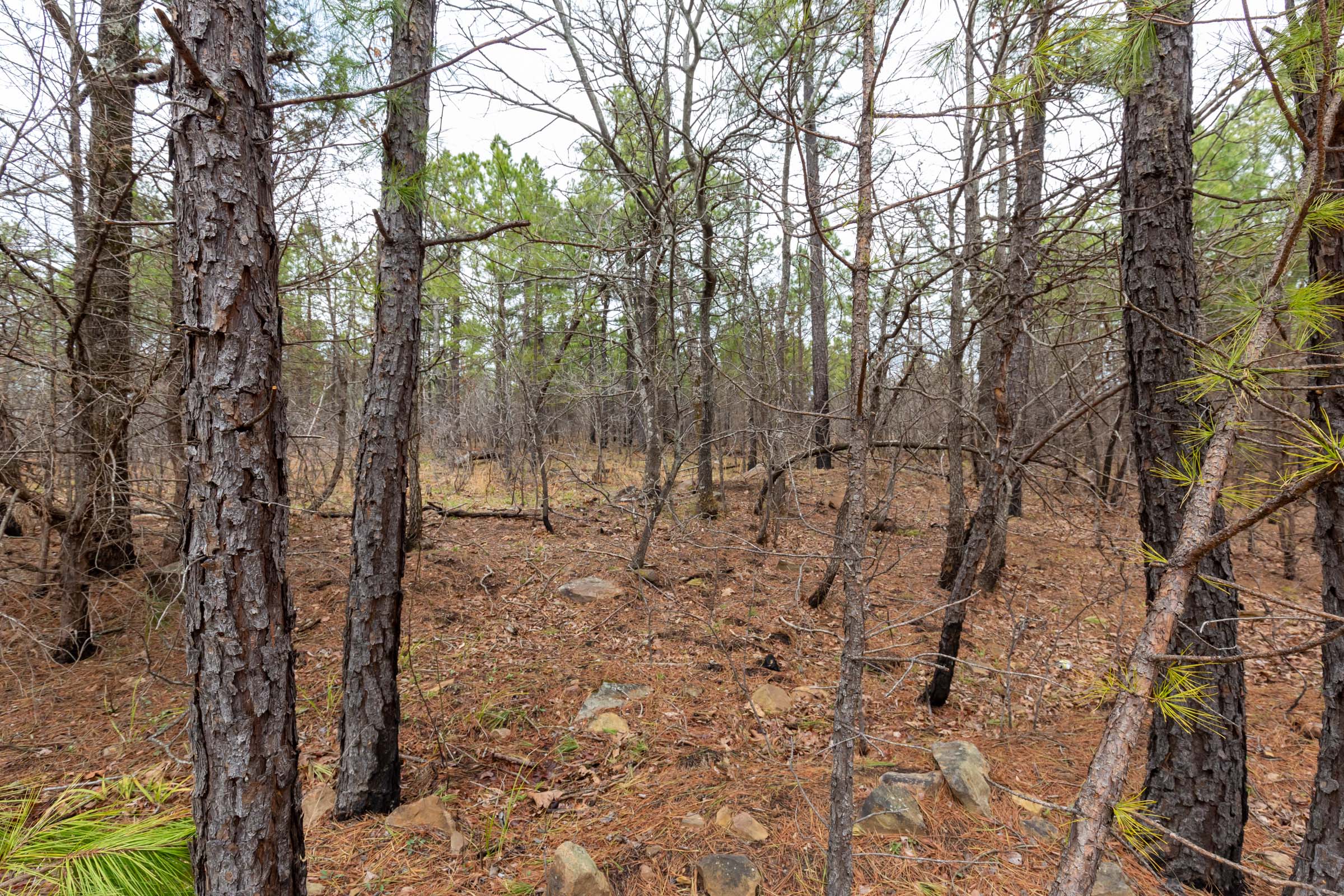 Tract 175 at Stone Bridge Phase III in LatimerHaskell County, Oklahoma