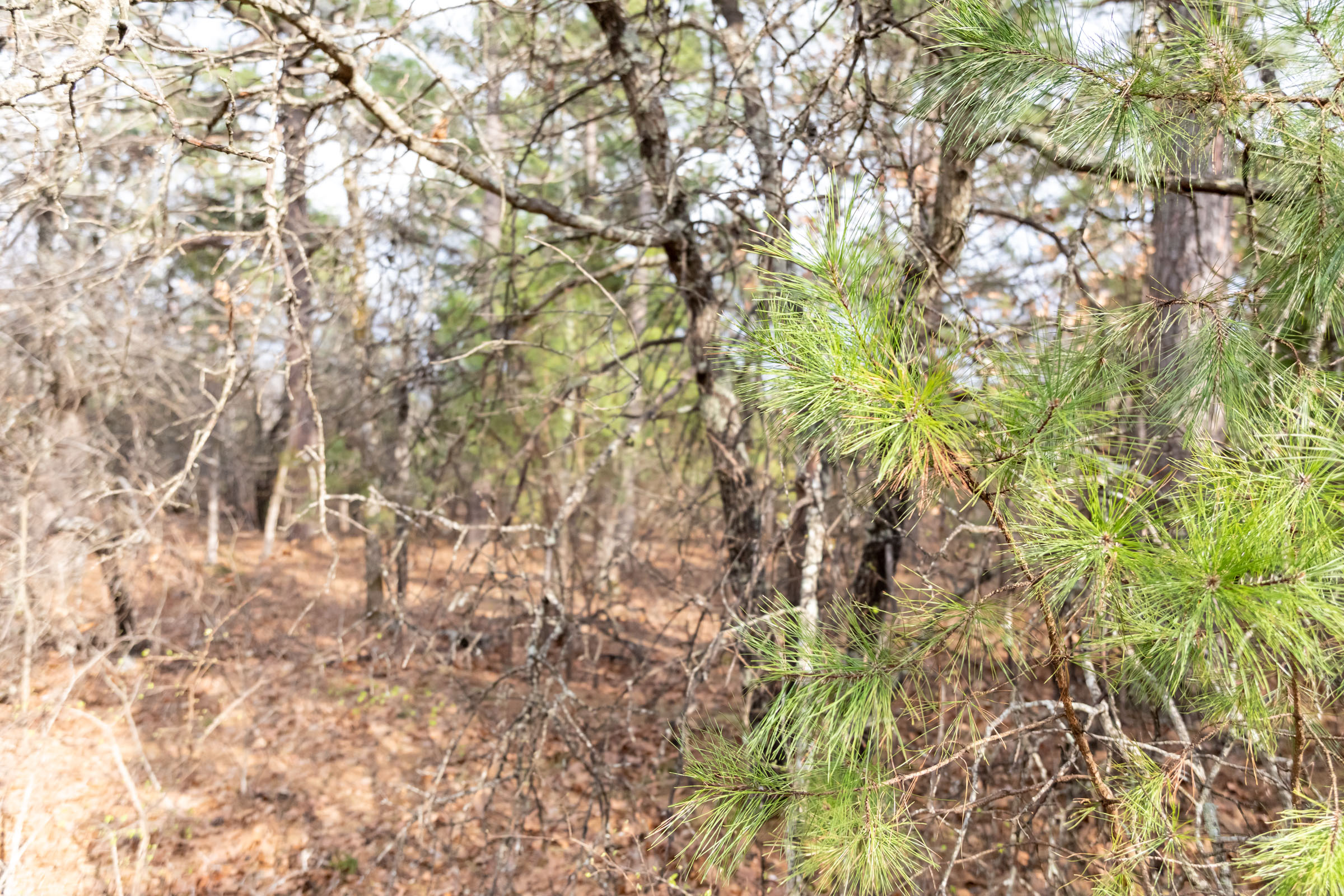Tract 182 at Stone Bridge Phase III in LatimerHaskell County, Oklahoma