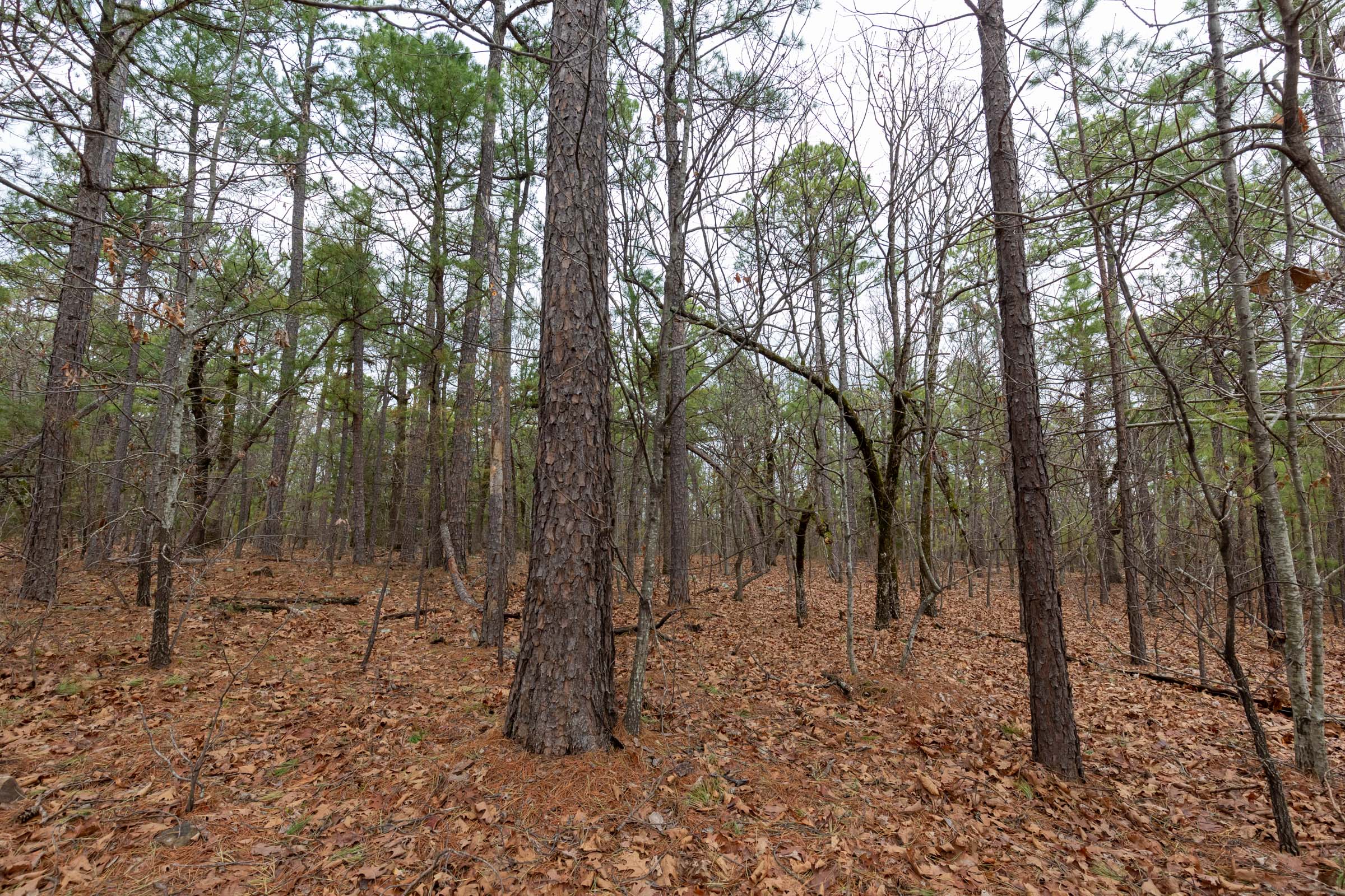 Tract 189 at Stone Bridge Phase III in LatimerHaskell County, Oklahoma