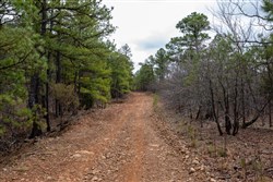 property photo for Stone Bridge Phase III Tract 193, 15.04 acres for sale in LatimerHaskell County, Oklahoma