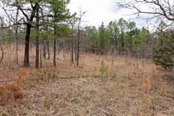 property photo for Stone Bridge Phase III Tract 193, 15.04 acres for sale in LatimerHaskell County, Oklahoma