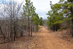 property photo for Stone Bridge Phase III Tract 193, 15.04 acres for sale in LatimerHaskell County, Oklahoma
