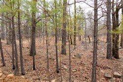 property photo for Stone Bridge Phase III Tract 193, 15.04 acres for sale in LatimerHaskell County, Oklahoma