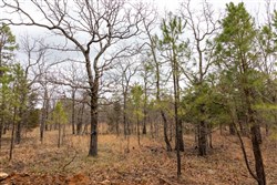 property photo for Stone Bridge Phase III Tract 193, 15.04 acres for sale in LatimerHaskell County, Oklahoma