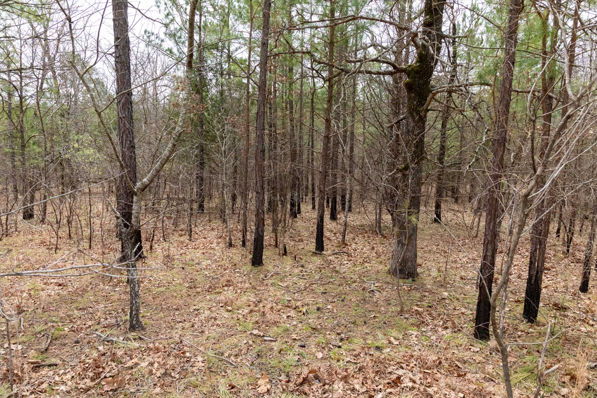 Tract 197 at Stone Bridge Phase III in LatimerHaskell County, Oklahoma