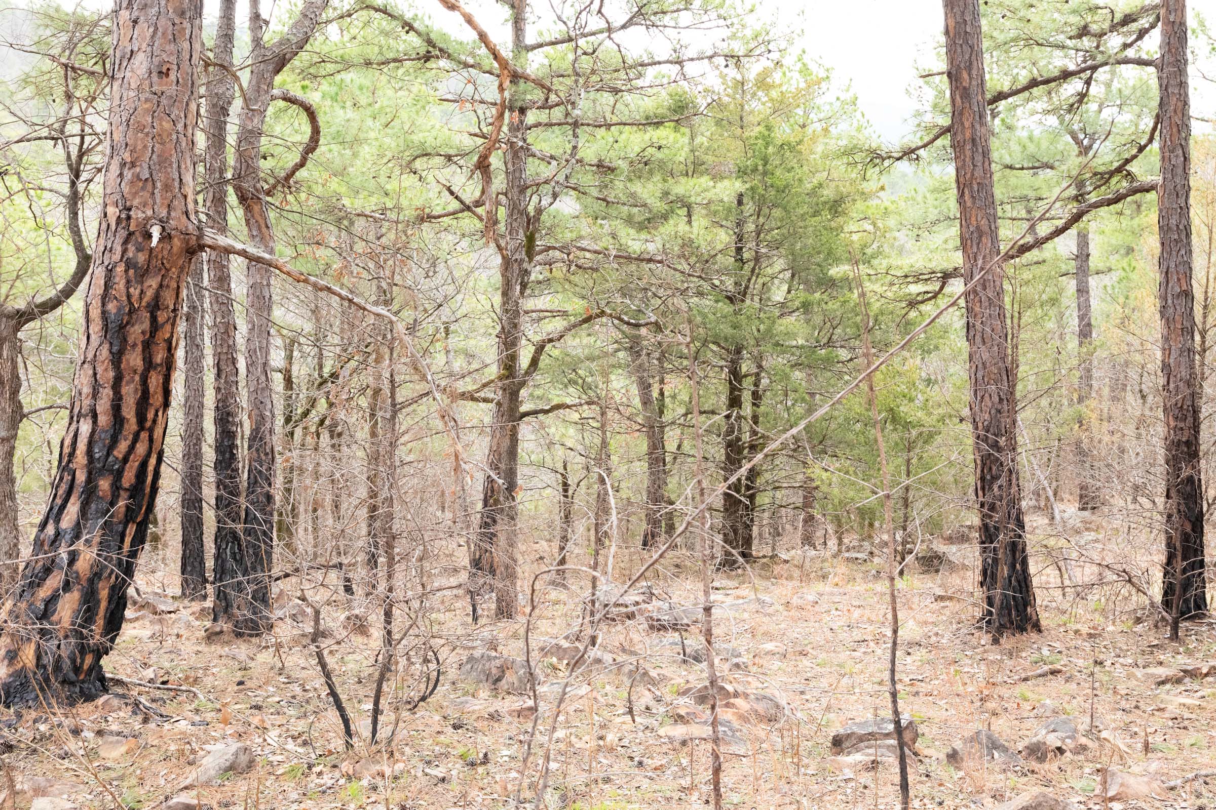 Tract 203 at Stone Bridge Phase III in LatimerHaskell County, Oklahoma