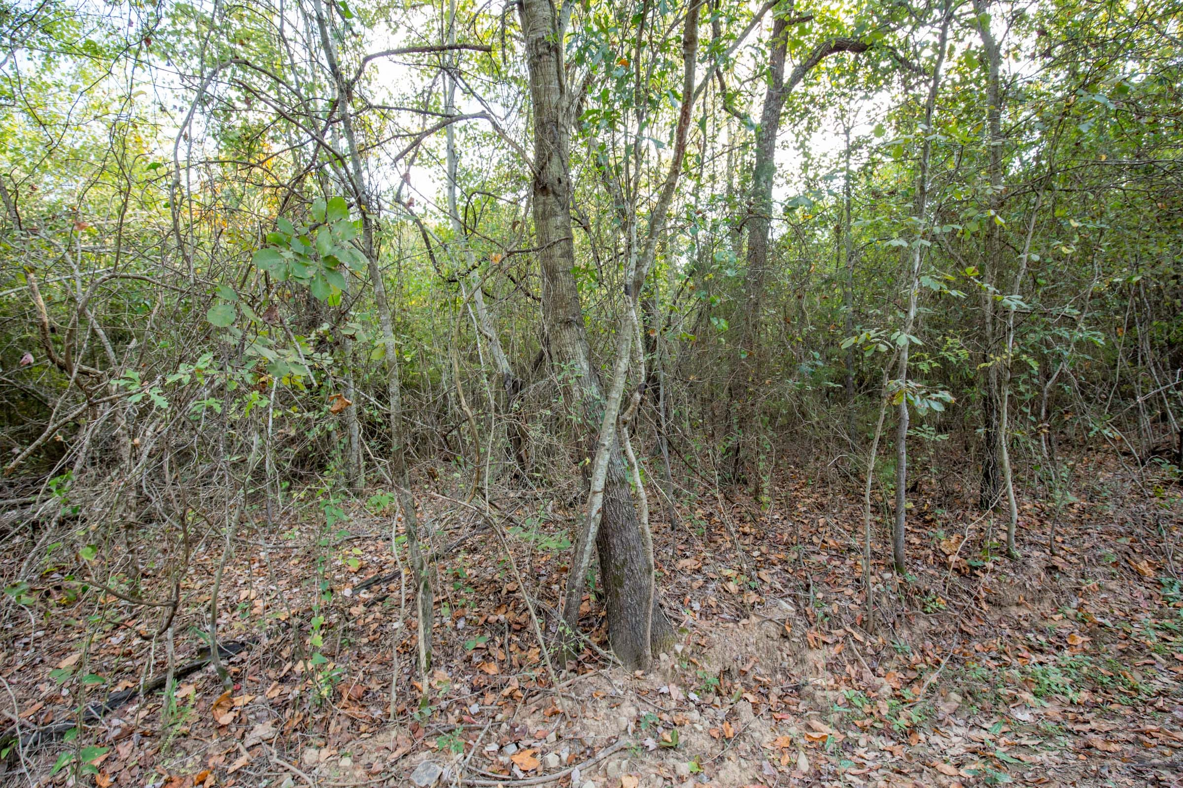 Tract 17 at Stone Bridge Phase I in LatimerHaskell County, Oklahoma