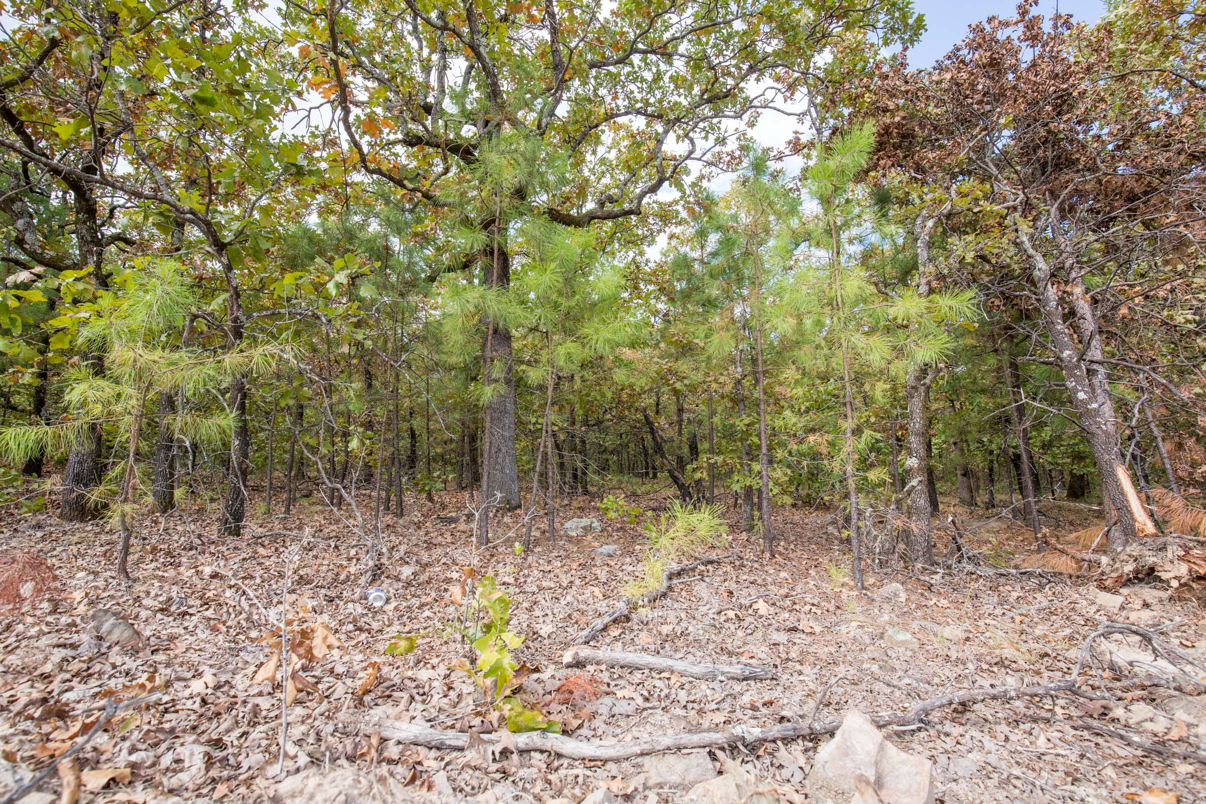 Tract 40 at Stone Bridge Phase I in LatimerHaskell County, Oklahoma