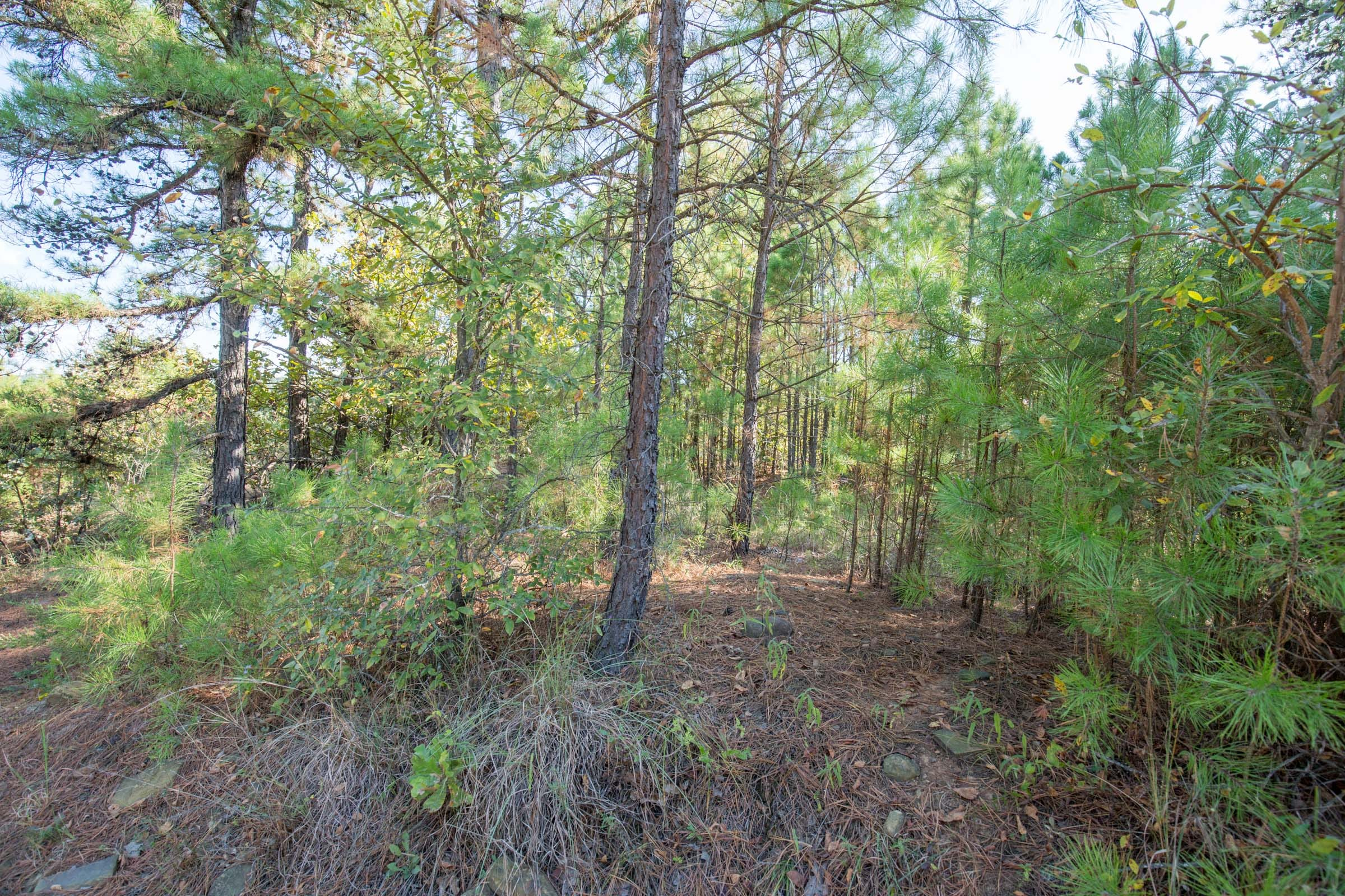 Tract 56 at Stone Bridge Phase I in LatimerHaskell County, Oklahoma